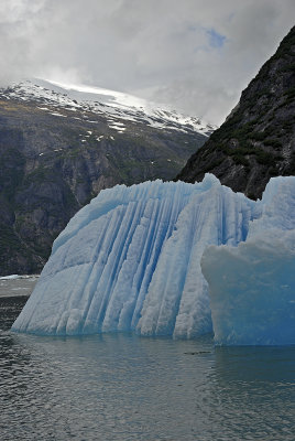 Sawyer Glacier Iceberg