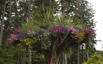 Upside Down Flower Tower