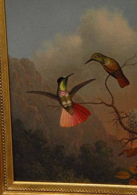 Hummingbird Paintings by Martin Johnson Heade