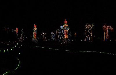 Garvan Gardens Christmas Lights