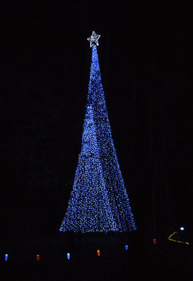 Garvan Gardens Christmas Lights