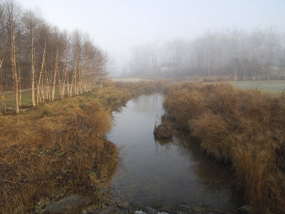 Early Morning Fog