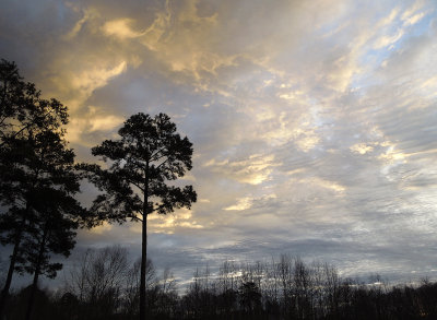 Early Morning Clouds