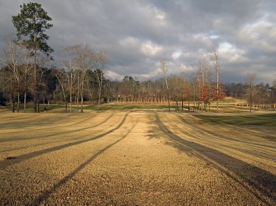 Golf Course in Winter