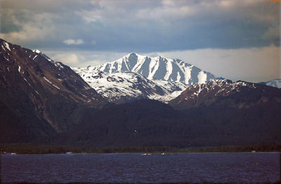 Kenai Fjords National Park Boat Tour