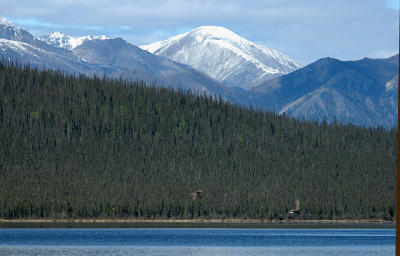 Alaska Highway Kluane National Park Area