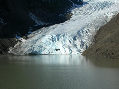 Bear Glacier, Stewart, BC/Hyder, Alaska area