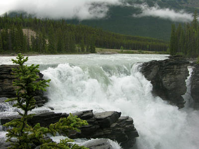 Athabasca Falls, Jasper National Park, Alberta