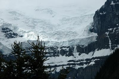 Columbia Glacier, Jasper National Park, Alberta