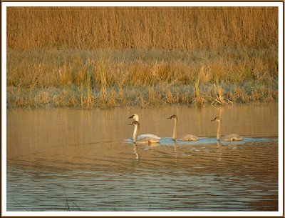 October 22 - Mom and the Kids