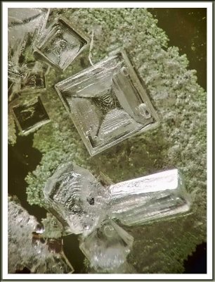 February 23 - Salt Crystals