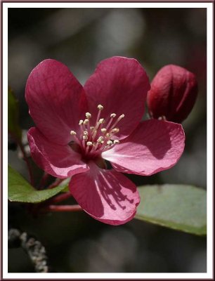April 11 - Spring Is Here!