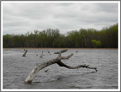 April 16 - A Cold and Windy Day