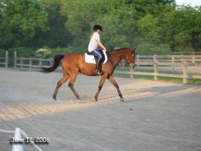 June 17th Dressage Show at the Fairgrounds