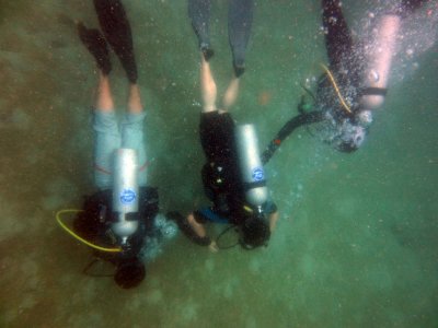 Divers below