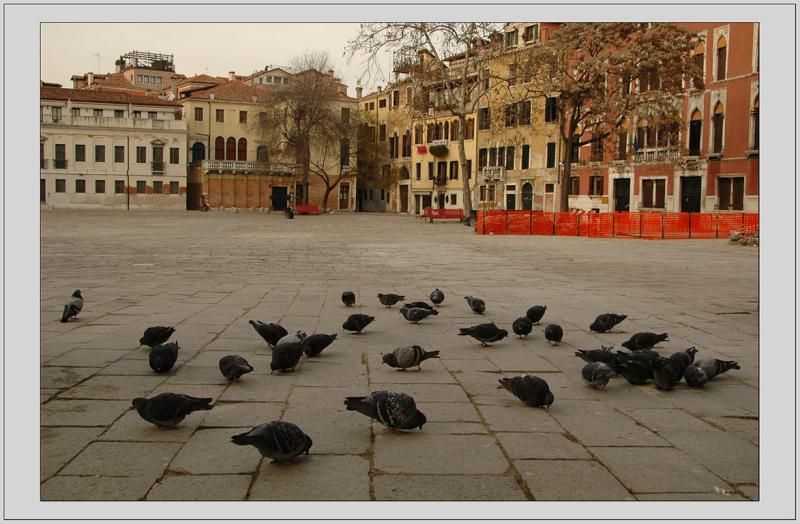 Venice (Venezia)