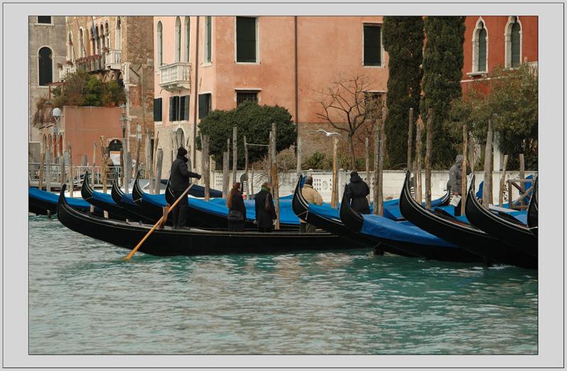 Venice (Venezia)