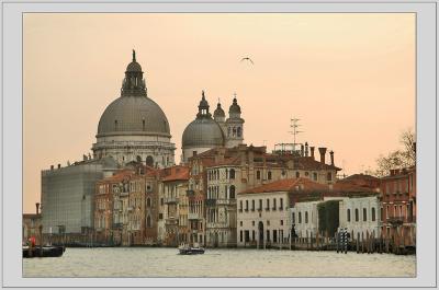 Venice (Venezia)