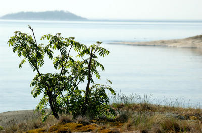 Ladoga lake