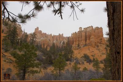 February Camping Trip - Bryce and Escalante