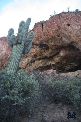 Saguaro  cave
