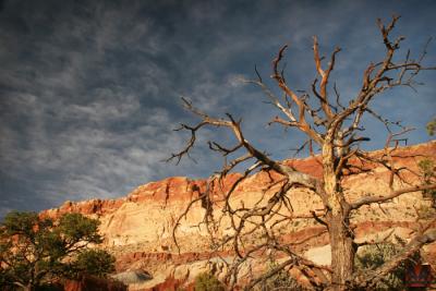 Red rock glow