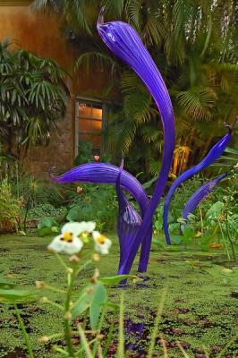 Fountain Court Lily Pool