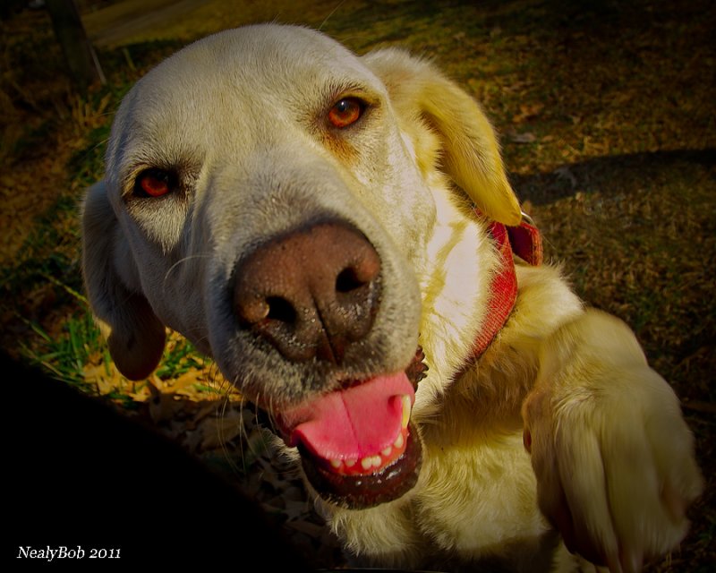 Molly February 27