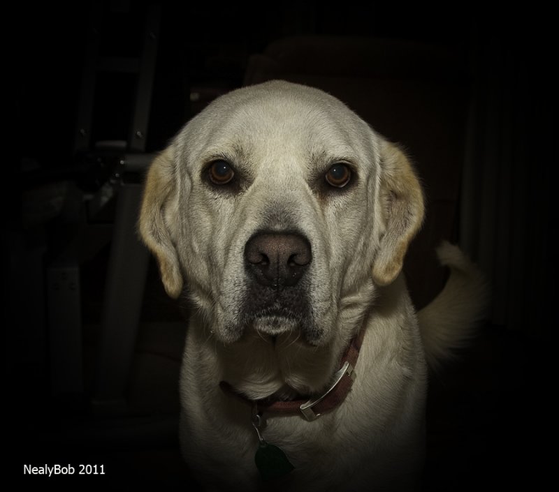 Molly March 8