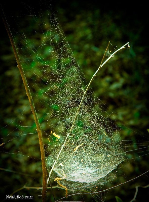 Web April 20