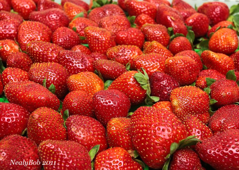 Louisiana Strawberries April 23