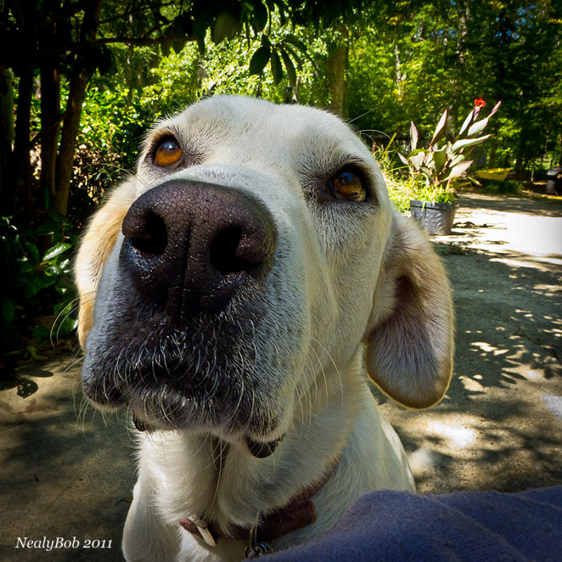 Molly September 8