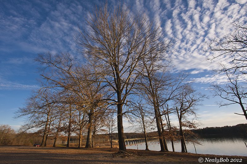 Spillway January 29