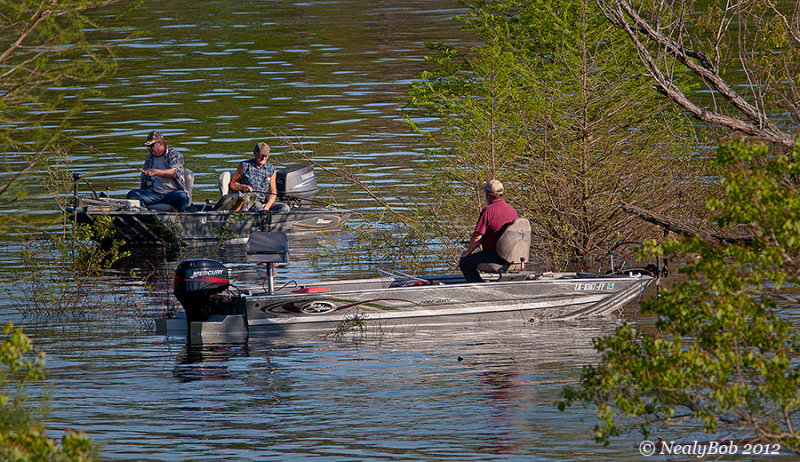 Catching White Perch April 6