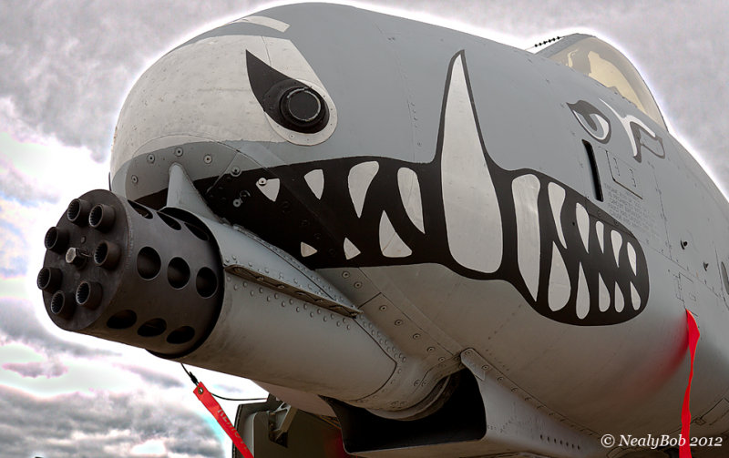 Nose Art