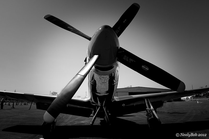 P51 Mustang July 5