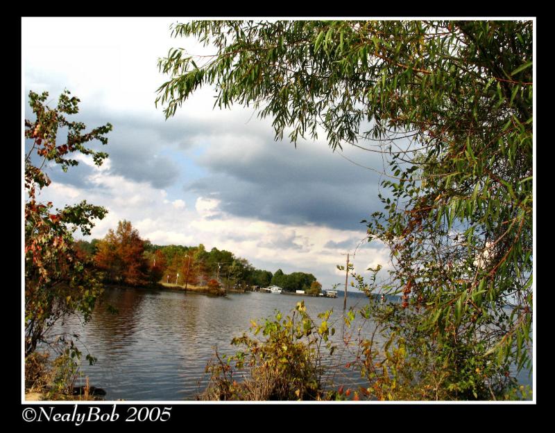 By The Lake November 15 *