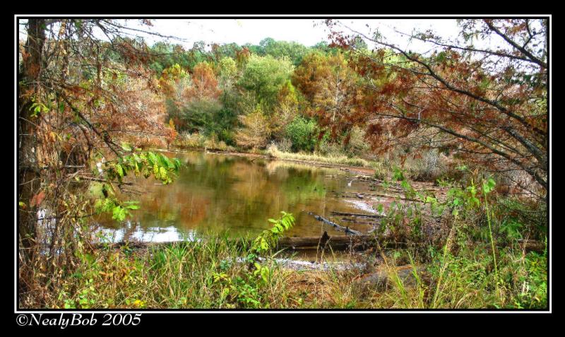 By The Lake November 17