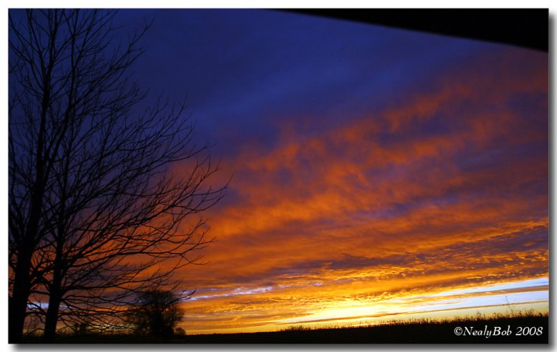 Sun Rise On Tensas River NWR January 15