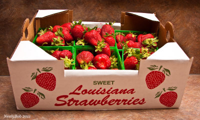 Louisiana Strawberries April 16