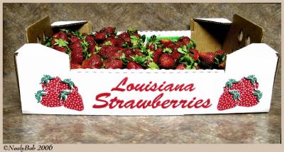 Strawberries May 4