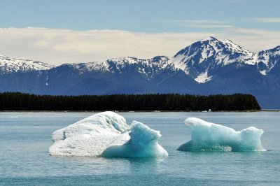 Tracy Arm