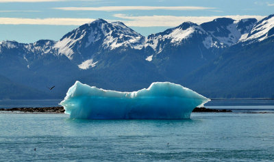 Tracy Arm