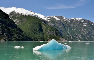 Tracy Arm