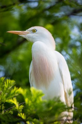 IMG_0681.jpg