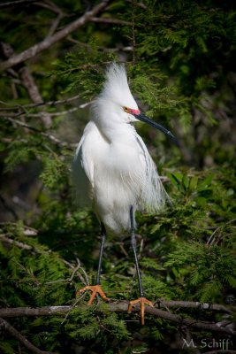 IMG_0904.jpg