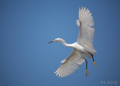 IMG_1416.jpg
