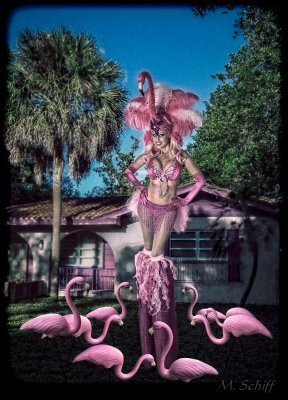 Worshiping the Pink Flamingo Queen