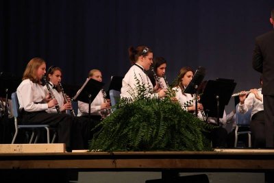 IMG_2456.jpg