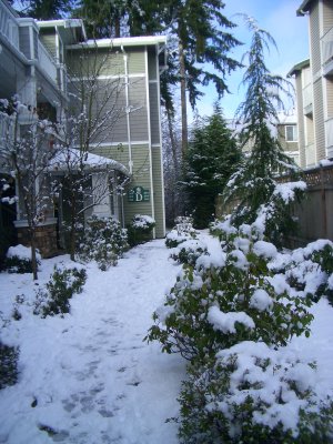 Our condo sidewalk Jan 08, 2008